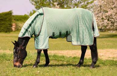 Nouveautés PREMIER EQUINE